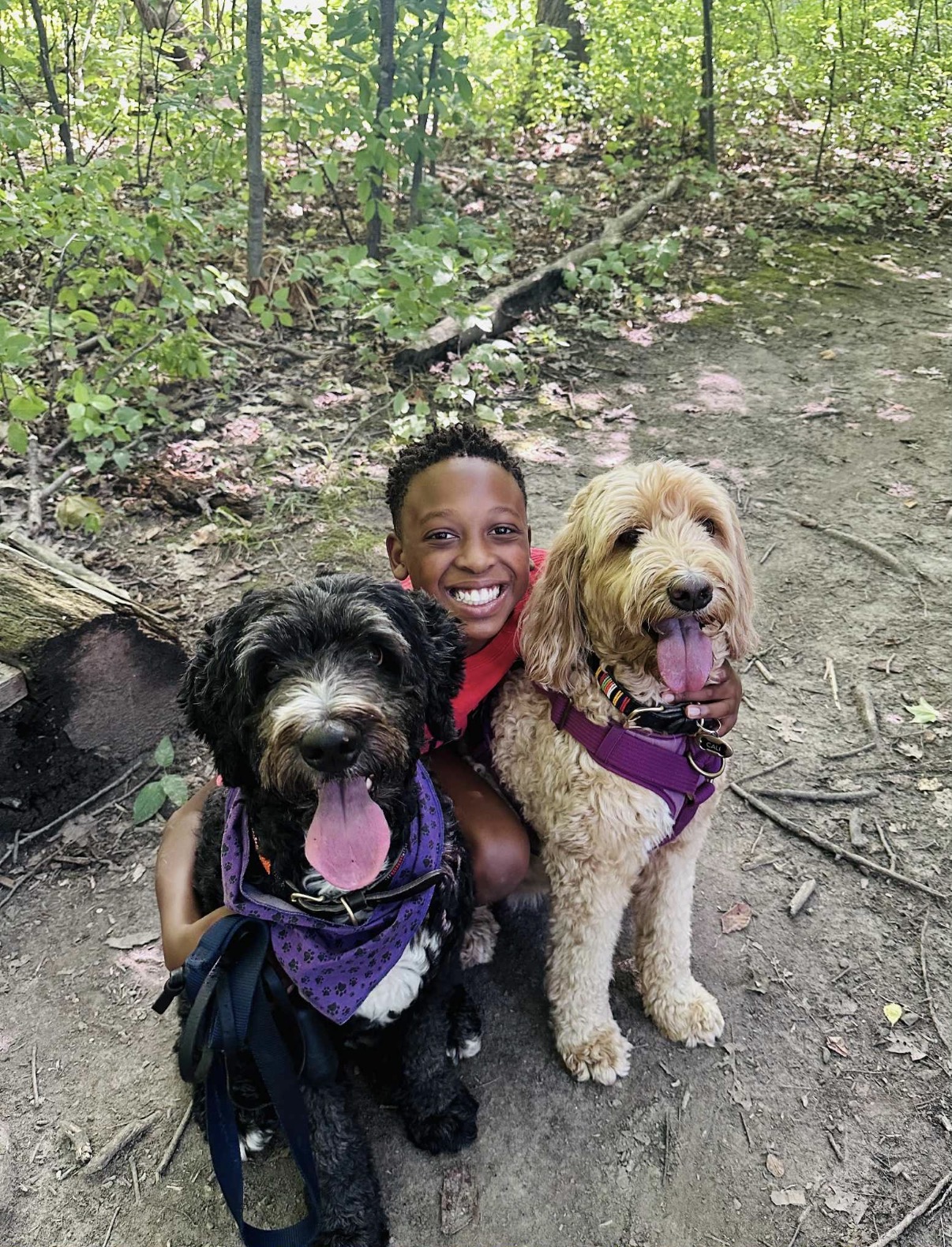 Sam smiling on a forest trail with two happy dogs